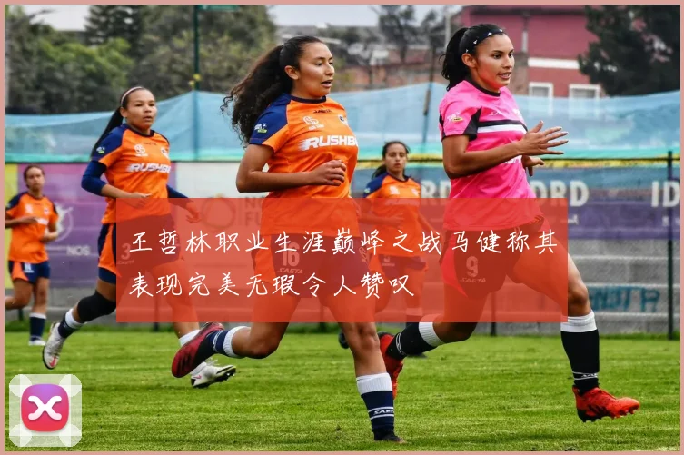 王哲林职业生涯巅峰之战马健称其表现完美无瑕令人赞叹