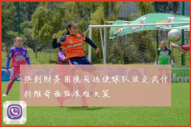 热刺财务困境或迫使球队放走武什科维奇面临艰难决策